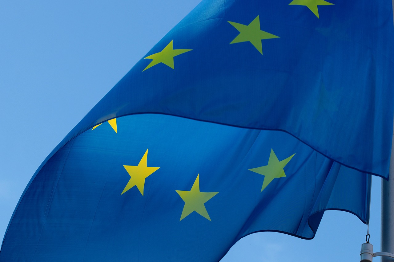 EU-flagga
 .jpg